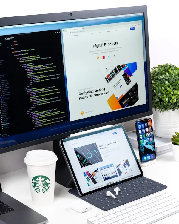 Website development